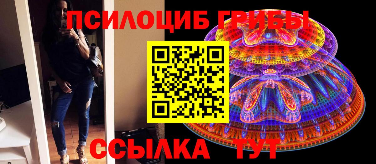 Псилоцибиновые грибы MAGIC MUSHROOMS  Вход с VPN  Псилоцибиновые грибы мицелий  Тосно 